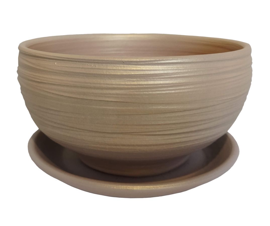 Пересадка орхидеи-фаленопсиса в домашних условиях с пошаговыми фотографиями