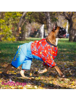 Комбинезон красно-синий