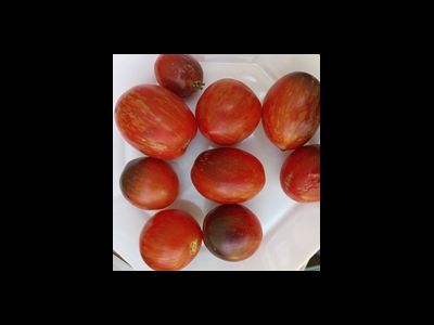 Томат Анто полосатый (Dwarf Striped Antho) США