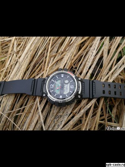 Часы Casio WSC-1250H-1AVEF