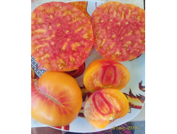 Томат Олд флейм (Old Flame, Старое пламя)