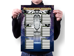 Расписание уроков год Тигра №1