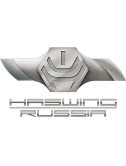Электромоторы HASWING