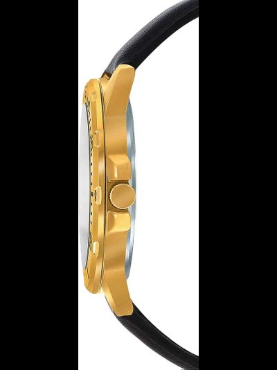 Часы Casio MTP-VD300GL-1E