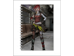Тетрадь Borderlands, Бордерленд №6