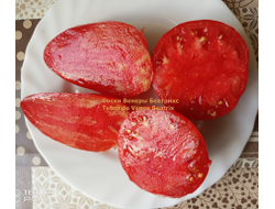 Томат Сосок Венеры Беатрикс (Teton de Venus Beatrix), Польша