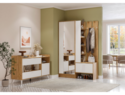 Композиция Прихожей ИРИС