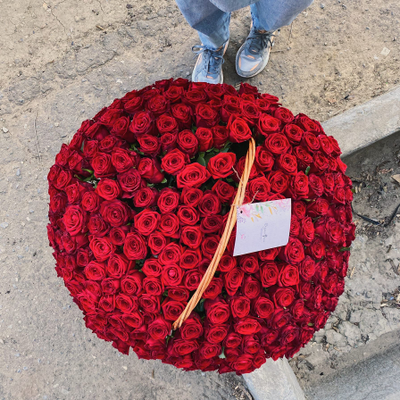 Корзина из 251 красной розы