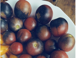 Томат Шоколадный подарок