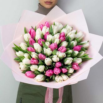 61 белый и розовый тюльпан
