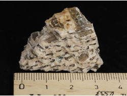 Гранит письменный, пегматит, необработанный, Россия, Мурманская обл. (35*22*20 мм, 21 г) №37794