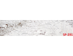 SP-291 Глянцевая  стеновая панель ALBICO  2800*610*6мм