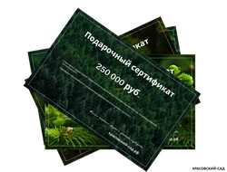 Подарочный сертификат на приобретение и посадку растений