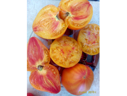 Томат Сердце абрикосовой зебры  (Coeur de Zebre apricot, Heart of Zebre Apricot)