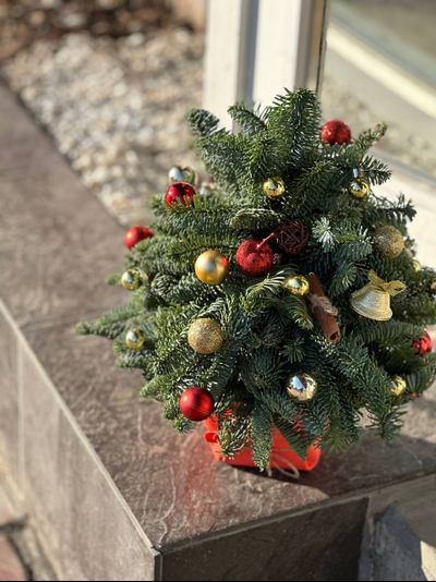 Зимняя композиция №11