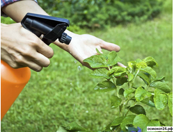 Фунгициды (от болезней)