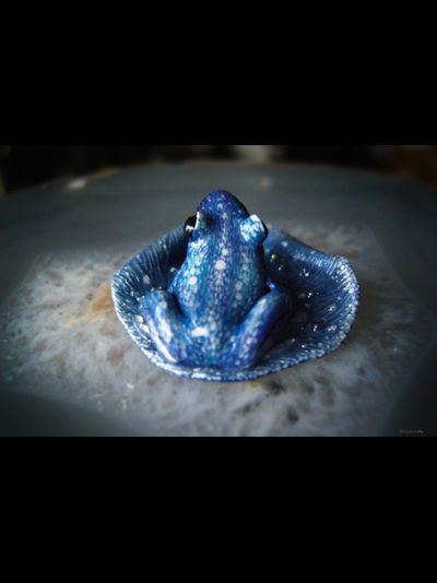 &quot;Синяя Китовая лягушка&quot;, волшебная мини-брошь с гематитовой звёздочкой