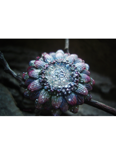 Кольцо &quot;Цветок Галлициниума&quot;