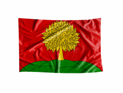 Флаг Липецкой Области