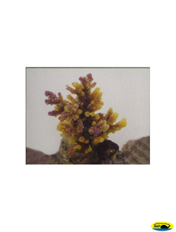 SH9032PUY Коралл пластиковый желто-коричневый 8*7*10см