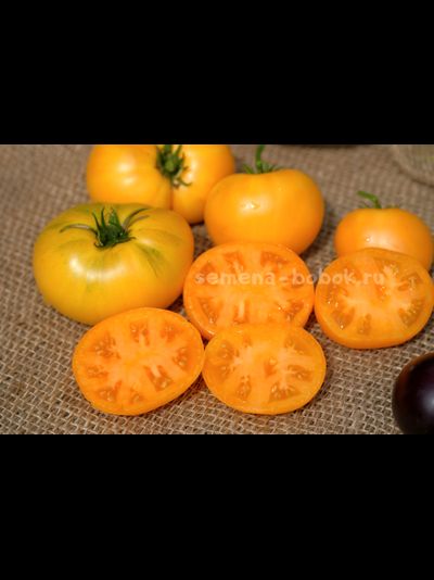 Томат Dwarf Tanager (Гном Танагер), 10 шт