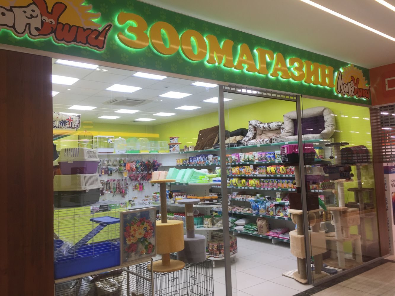 зоорай нерюнгри. лапушки зоомагазин бронницы. зоомагазин севастополь лапушки. лапушки зоомагазин бронницы. покажи фотографии магазин лапушка.