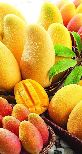Magnificent Mango (Exclusive!) / Манго база