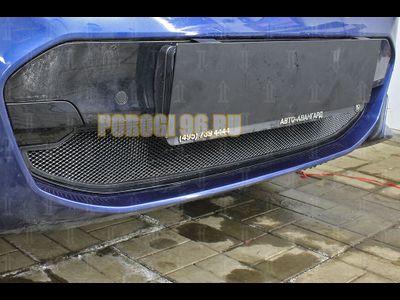 Защита радиатора BMW X3 III (G01) (xDrive AT / xDrive AT M Sport) 2017- black низ