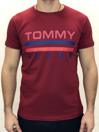 Мужская футболка Tommy Jeans