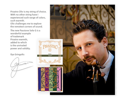 Pirastro Passione Solo violin SET