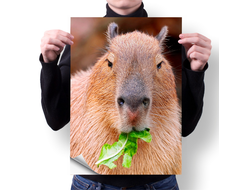 Плакат вертикальный Капибара, Kapibara-san №33