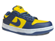 Nike Air Force 1 SB Dunk Low Michigan