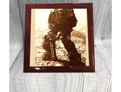 Шкатулка Fallout, Фоллаут №19