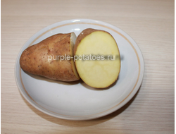 Сорт картофеля Ранняя Роза (Американка)