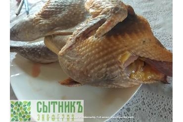 Свежее мясо цесарки заказать у фермера
