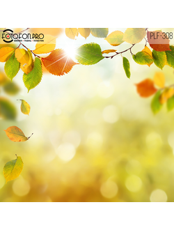 Пластиковый фотофон «Летнее утро»