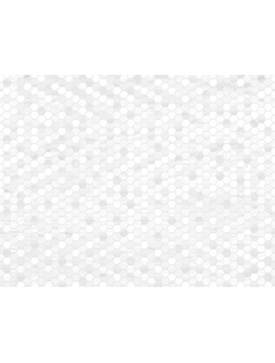 Лейла Светлый КГ 01 450х450