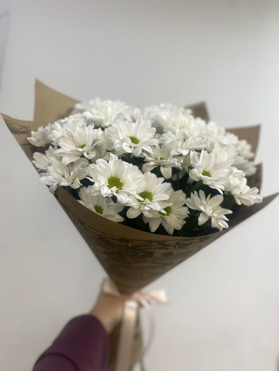 Классический букет из 5 белых кустовых хризантем Баккарди