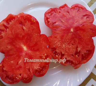 Томат Восхитительный Хой (Hoy Delicious)