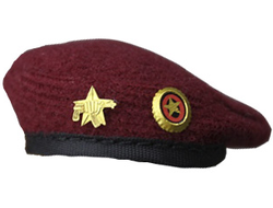 Краповый берет - современный, Россия (KGB-005) - KGB Hobby