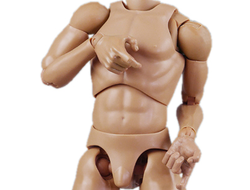 Телоид 1/6, тело 1/6, купить телоид, купить тело 1/6, фигурки 1/6, купить фигурки 1/6, масштаб 1/6