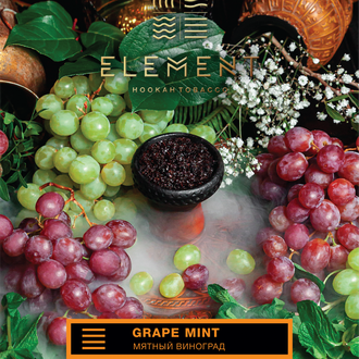 Табак Element Grape Mint Виноград Мята Земля 25 гр