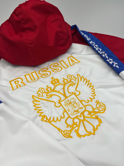 Костюм спортивный триколор