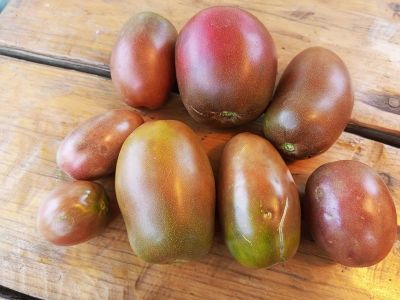 Томат Роксана