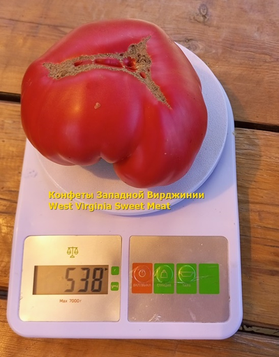 Томат Конфеты Западной Вирджинии (West Virginia Sweetmeat), США