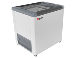 Ларь морозильный Frostor GELLAR FG 250 C серый