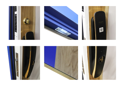 Стальная дверь   Lamborghini. Заказная модель.