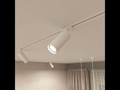 Трековый светильник Denkirs DK6202-WH