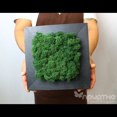 ЖИВАЯ ЭКО-КАРТИНА 1066