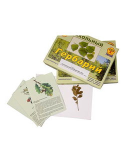 Гербарий "Растительные сообщества. Лес" (9 видов, 10 планшетов, с иллюстрациями и фотографиями)